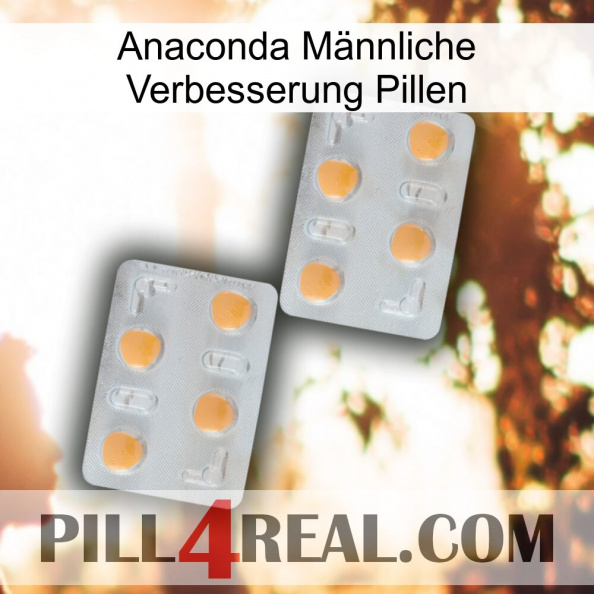 Anaconda Männliche Verbesserung Pillen 25